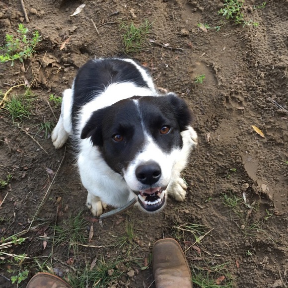 Meet your Posher, Emily - Picture 1 of 1